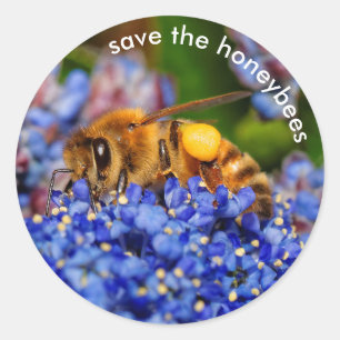 Sticker Rond Sauvez les abeilles à miel Pollinating California 