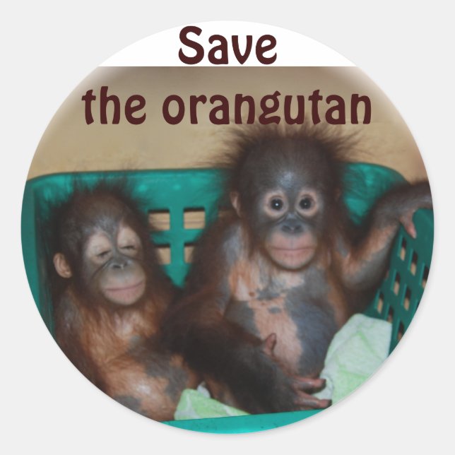 Sticker Rond Sauvez l'Orangoutan (Devant)