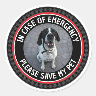 Sticker Rond SAVE MY PET Safety Alert Custom Photo Modern 
