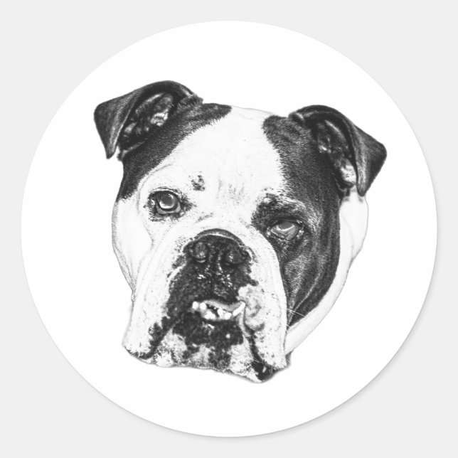 Sticker Rond Sceau Bulldog enveloppe (Devant)
