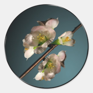 Sticker Rond Sceau de l'enveloppe de fleurs d'arbre