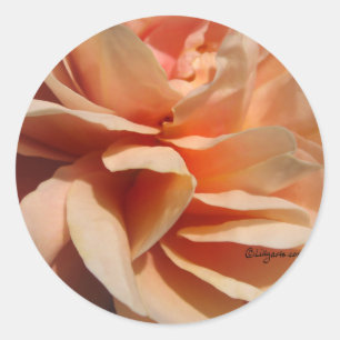 Sticker Rond Sceau de l'enveloppe du Mariage Rose de corail