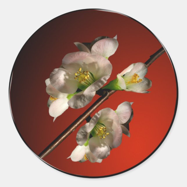 Sticker Rond Sceau d'enveloppe asiatique en fleurs de printemps (Devant)