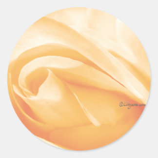 Sticker Rond Sceau d'enveloppe Mariage Rose Sherbet Peach