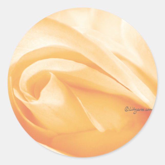 Sticker Rond Sceau d'enveloppe Mariage Rose Sherbet Peach (Devant)