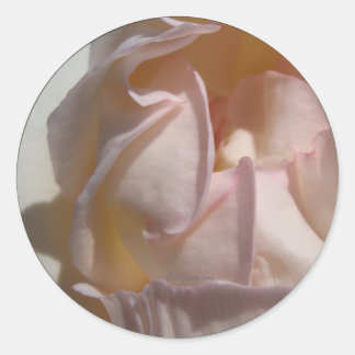 Sticker Rond Sceau d'enveloppe Rose Pétales Roses