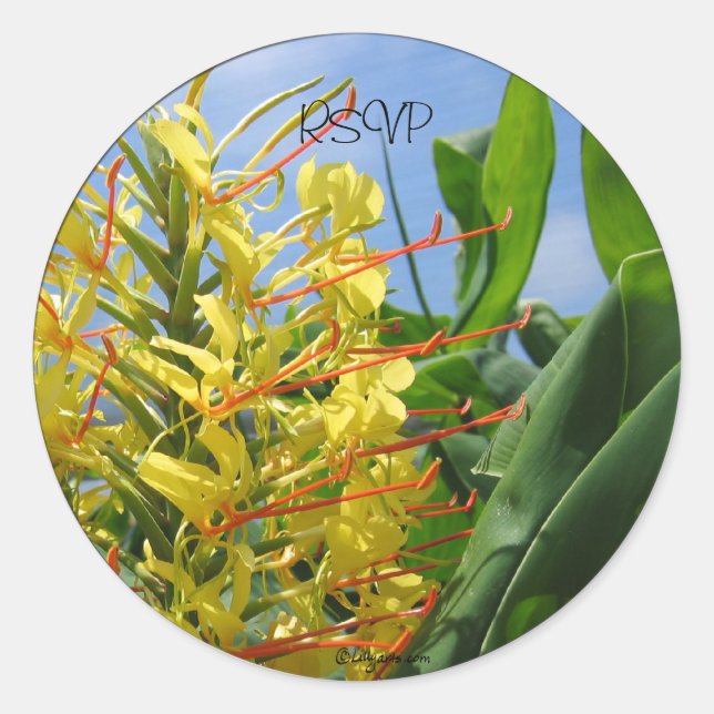 Sticker Rond Sceau/Stickers Mariage Kahili Ginger (Devant)