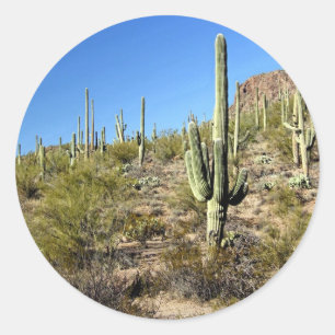 Sticker Rond Scène 03 de désert de Sonoran