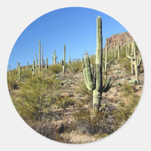 Sticker Rond Scène 03 de désert de Sonoran