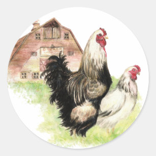 Sticker Rond Scène de la ferme de poulets et de granges à Custo