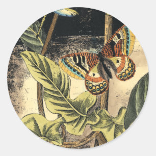 Sticker Rond Scène foncée de nature par le studio de vision