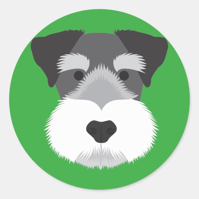 Sticker Rond Schnauzer miniature (Devant)