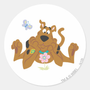 Sticker Rond Scooby-Doo Admirant Fleur