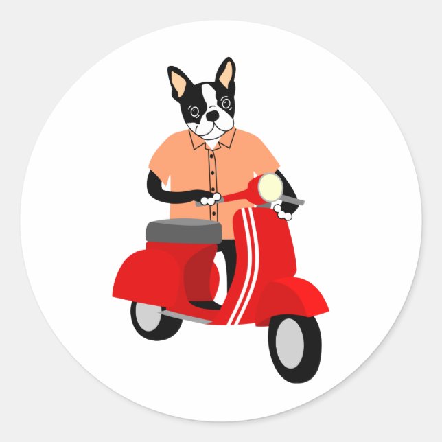 Sticker Rond Scooter Boston Terrier (Devant)