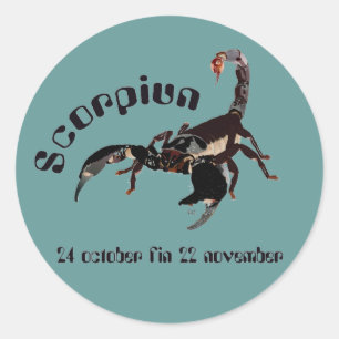 Sticker Rond Scorpion 24 october 22 novembre