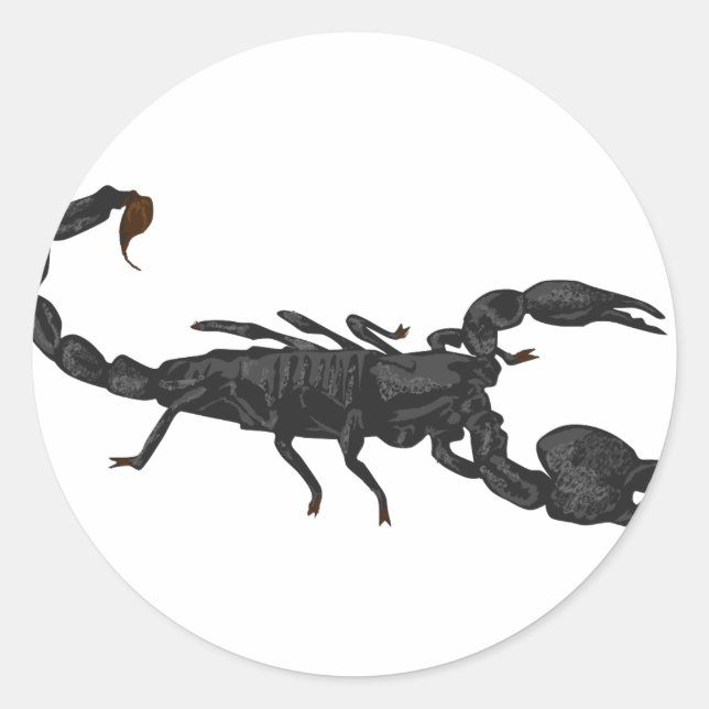 Sticker Rond Scorpion noir impérial (Devant)
