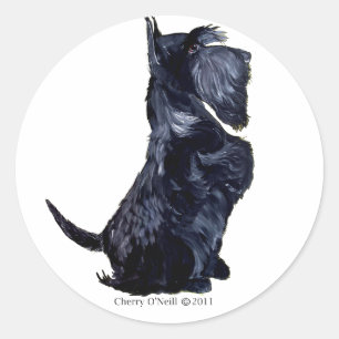 Sticker Rond Scottie - Vous Avez Des Cookies ?