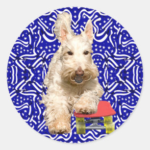 Sticker Rond Scottish Terrier roux sur un Skateboard