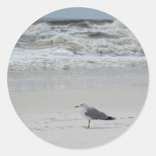Sticker Rond Seagull on the Beach