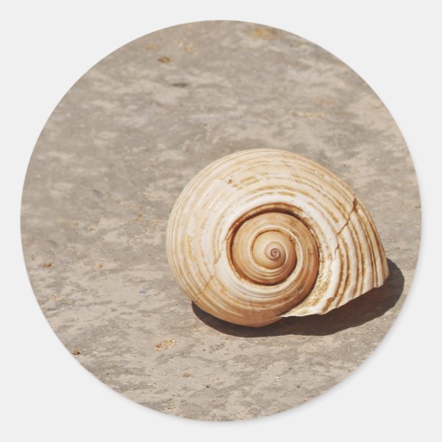 Sticker Rond SeaShell (Devant)