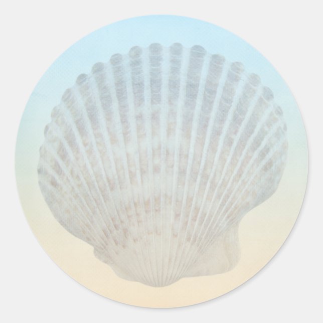 Sticker Rond Seashell Tropical Beach (Devant)