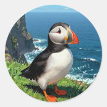 Seaside Puffin Illustration  