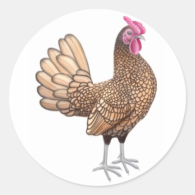 Sticker Rond Sebright Bantam Rooster (Devant)