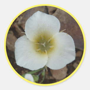 Sticker Rond Sego Lily