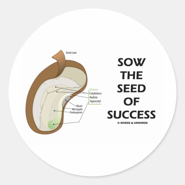 Sticker Rond Semer Les Semences De Succès (Humour D'Anatomie De (Devant)