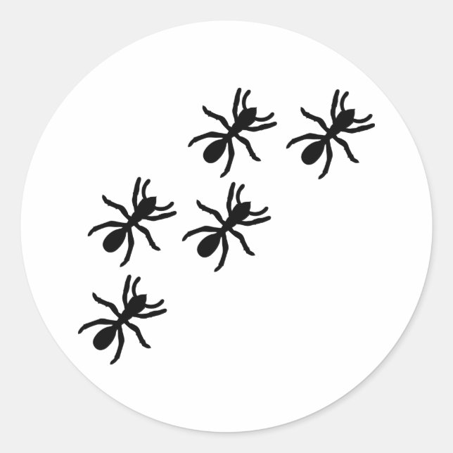 Sticker Rond sentier de la fourmi noire (Devant)