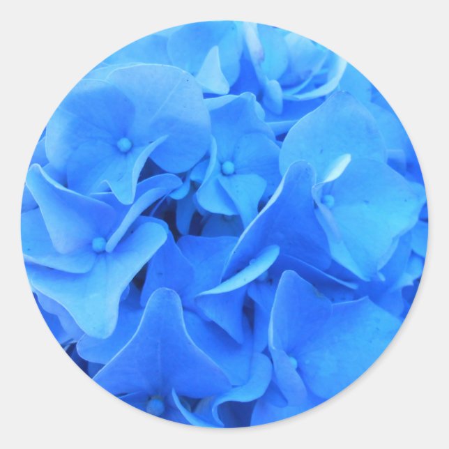 Sticker Rond Sérapine (Devant)