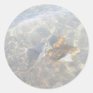 Sticker Rond Série de la pastenague OBX de Cownose