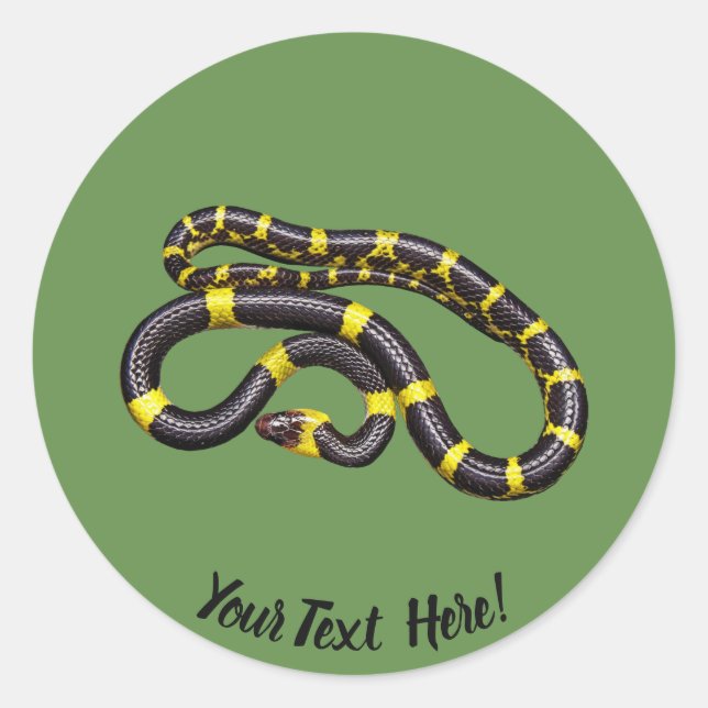 Sticker Rond Serpent noir et jaune (Devant)