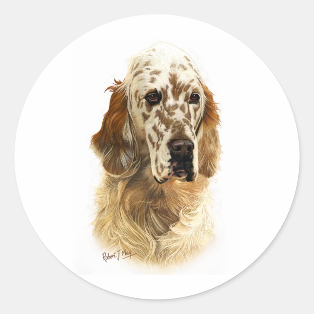 Sticker Rond Setter anglais (Devant)