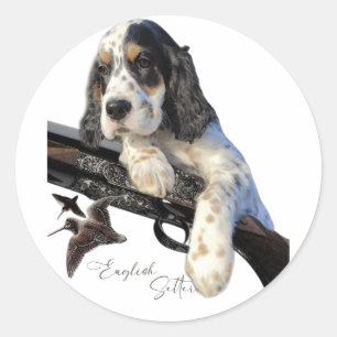Sticker Rond Setter anglais, mignon chiot