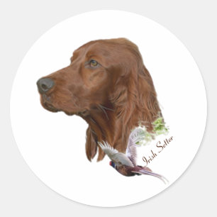 Sticker Rond Setter irlandais
