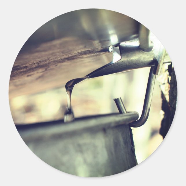 Sticker Rond Sève sirop d'érable qui coule la nature (Devant)