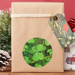 Sticker Rond Shamrock vert St Patrick iPhone 5 Coque-Mate