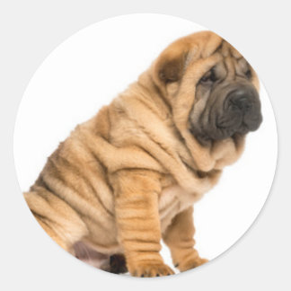 Sticker Rond Shar pei Dog