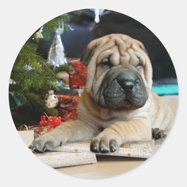Sticker Rond Shar Pei Noël (Devant)