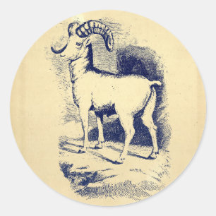 Sticker Rond SHEEP vintage GRANDE CORNE
