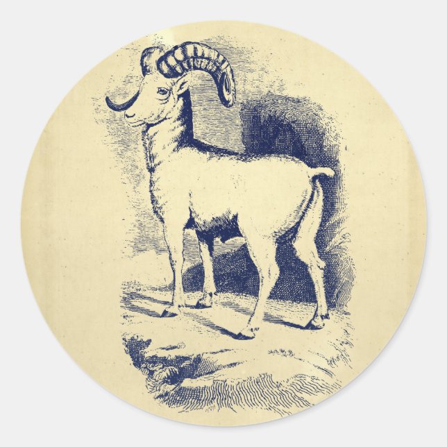 Sticker Rond SHEEP vintage GRANDE CORNE (Devant)