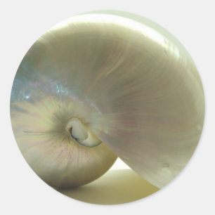 Sticker Rond Shell #1