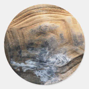 STICKER ROND SHELL GÉANT TORTOISE