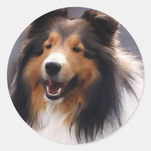 Sticker Rond Shetland Sheepdog Sheltie Cadeaux
