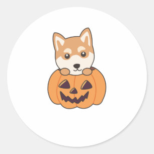 Sticker Rond Shiba Inu En Chiens Doux Citrouille Joyeux Hallowe