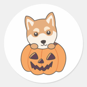 Sticker Rond Shiba Inu En Chiens Doux Citrouilles Joyeux Hallow