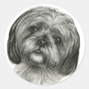 Sticker Rond Shih Tzu