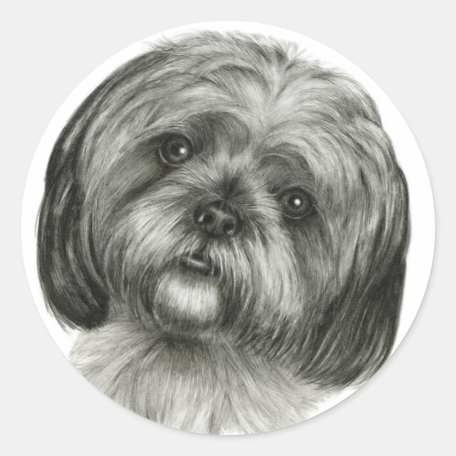 Sticker Rond Shih Tzu (Devant)