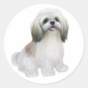 Sticker Rond Shih Tzu - Blanc avec gris-tan